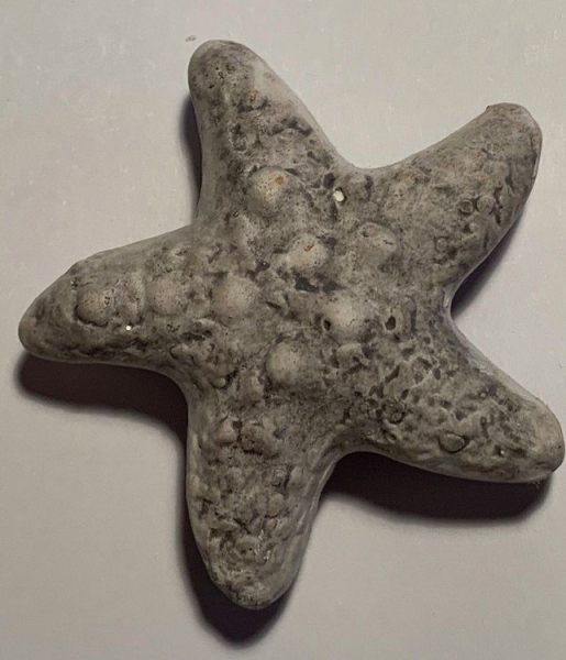 Keramik Seestern, grau